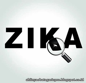 Obat Virus Zika