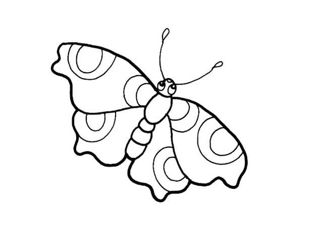 Beautiful Butterfly Coloring Drawing Free wallpaper