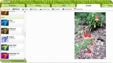 picnik tools