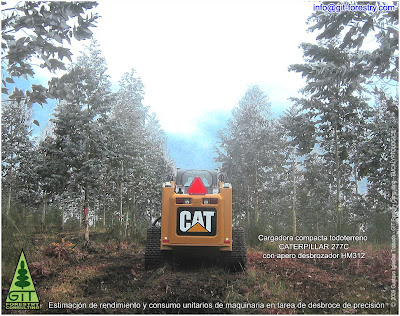 Caterpillar CAT 277C multi terrain loader on shrub slashing duty in a high value Eucalyptus timber plantation in Galicia / GIT Forestry Consulting, Consultoría y Servicios de Ingeniería Agroforestal collaborates with Caterpillar for machine testing / Lugo / Galicia / Spain / Eucalyptologics: Information Resources on Eucalyptus cultivation worldwide / Eucalyptologics: Recursos de Información sobre el Cultivo del Eucalipto en el Mundo