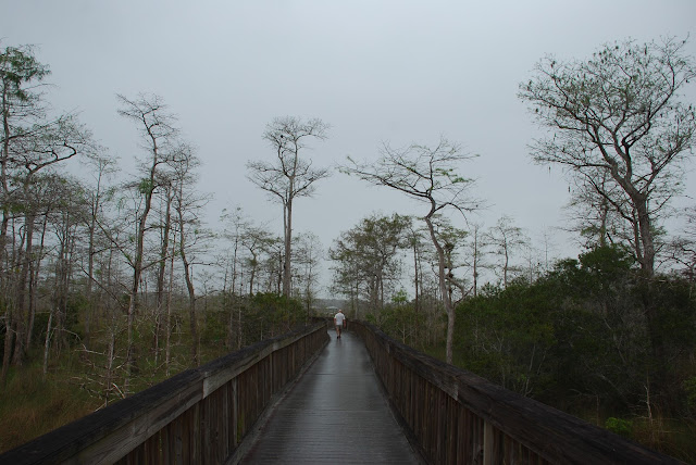 Big Cypress National Preserve