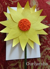 sunflower (9)