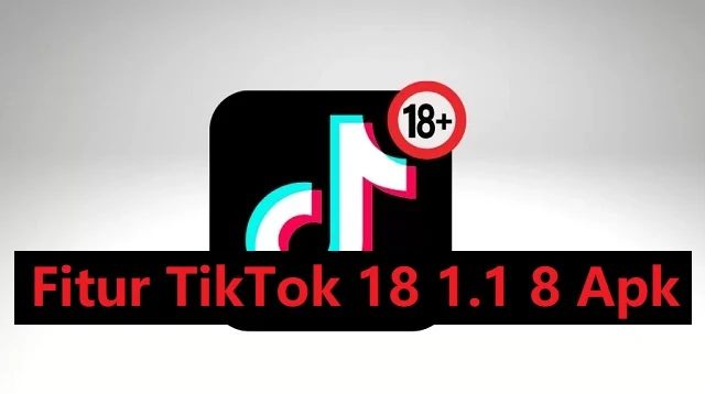 TikTok 18 1.1 8 APK