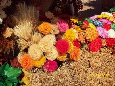 Flores secas do cerrado - Brasília - DF