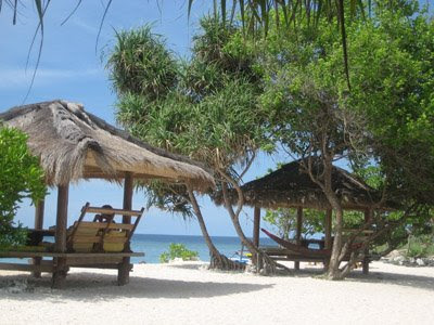 Gili Meno on Cempaka Culture And Tourism  The Friendly Sunset Gecko At Gili Meno