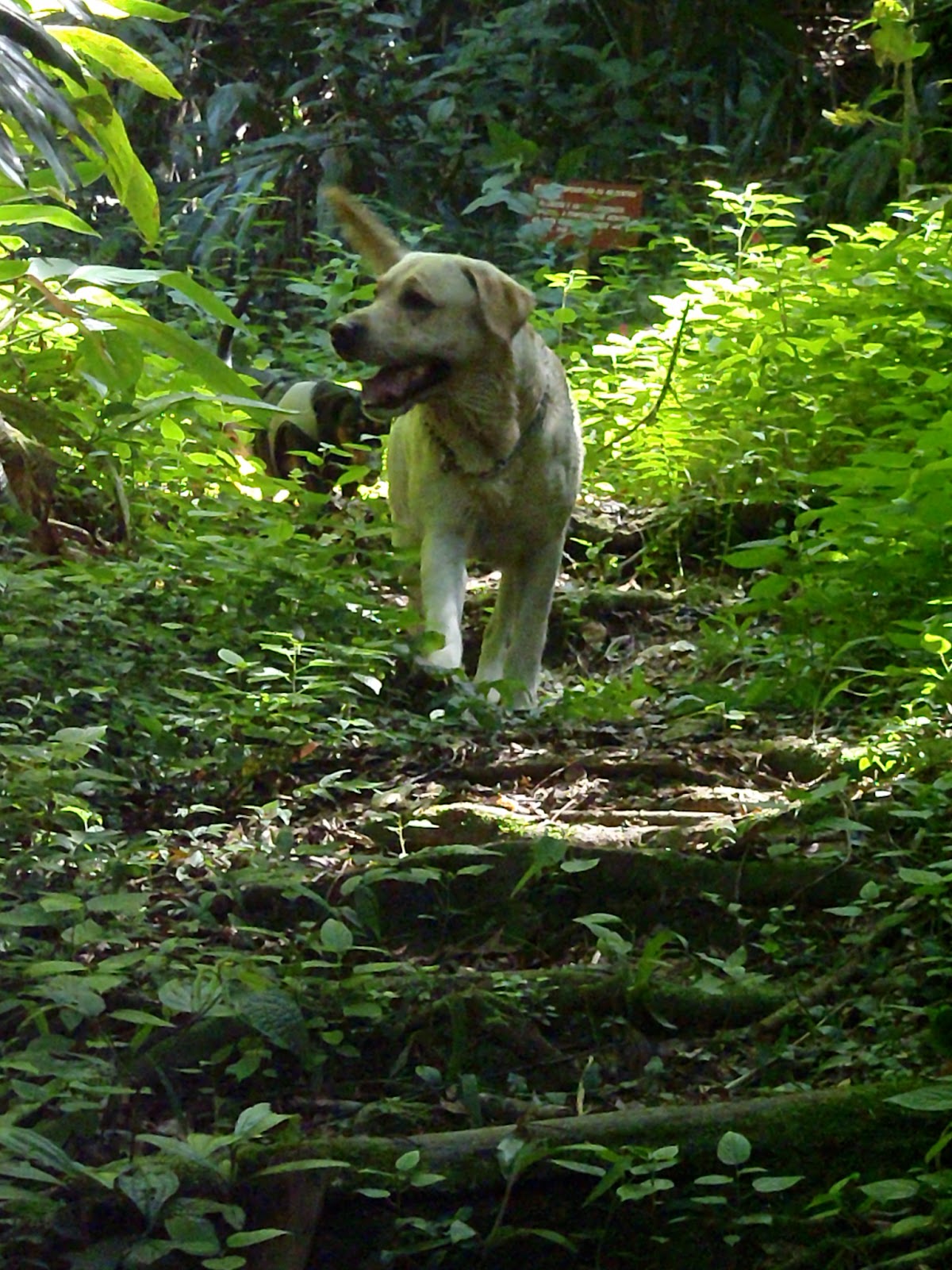 Trekking 3 (52)
