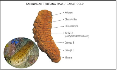 Cara Mengobati Hepatitis Secara Alami