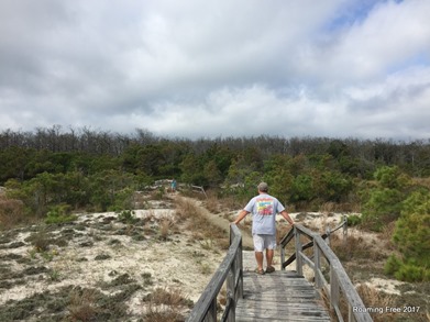 Dunes trail