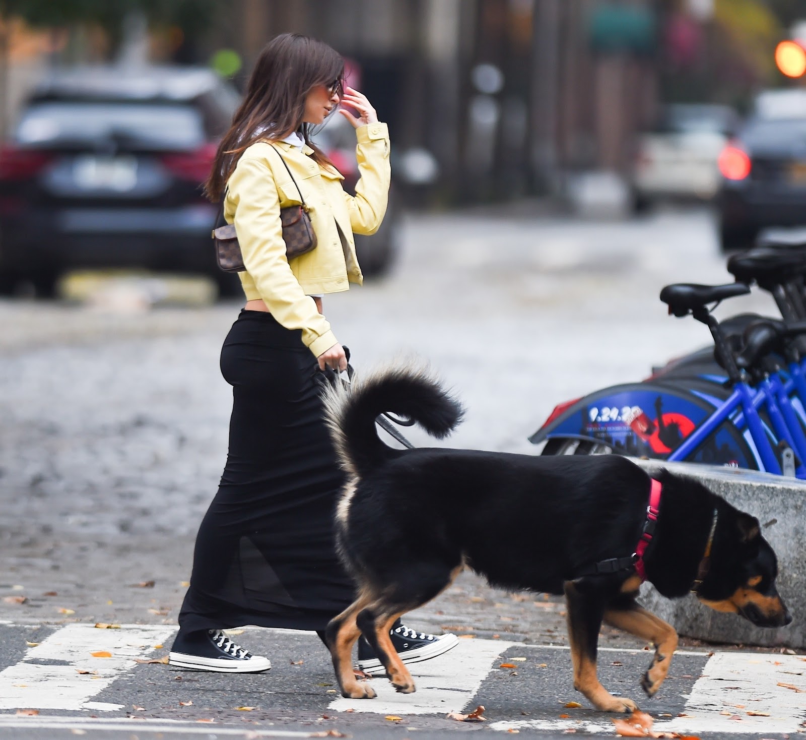 Emily Ratajkowski enjoys a Black Friday walk with her dog in Manhattan