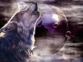 3D Wolf Wallpapers Free Download