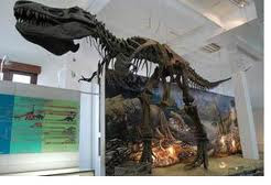 Yuk Ke Museum Geologi Bandung....!!!| http://indonesiatanahairku-indonesia.blogspot.com/