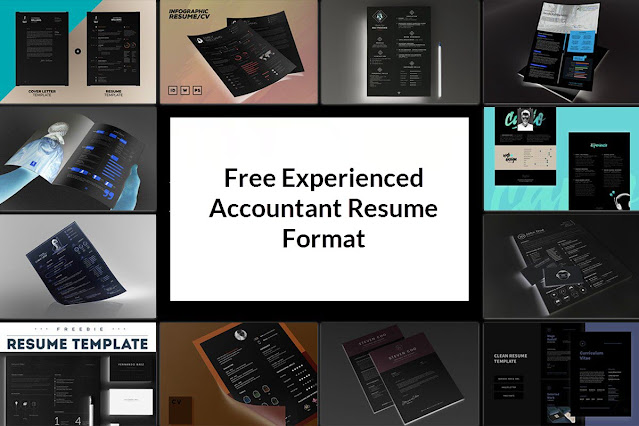 Free Experienced Accountant Resume Format