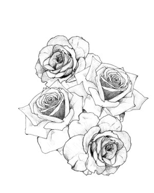  Rose Tatto on Rose Tattoos Drawing Traditional Rose Tattoo Jpg