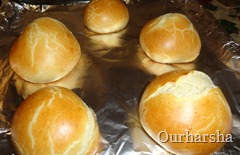 burger buns (22)