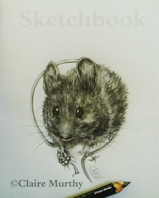 wildlife artist mouse pencil drawing