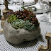 A Succulent Tablescape