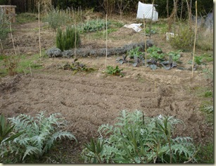 garden in winter_1_1_1