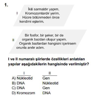 Resim