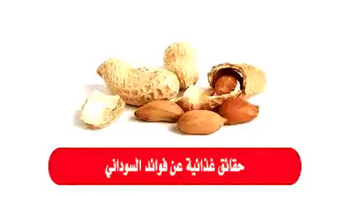 حقائق غذائية عن فوائد السوداني