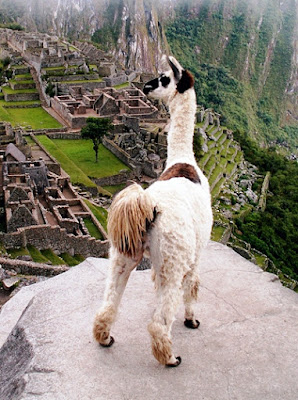 machu picchu ya tepeden bakan lama