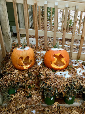 deer like the taste of Jack O'Lanterns