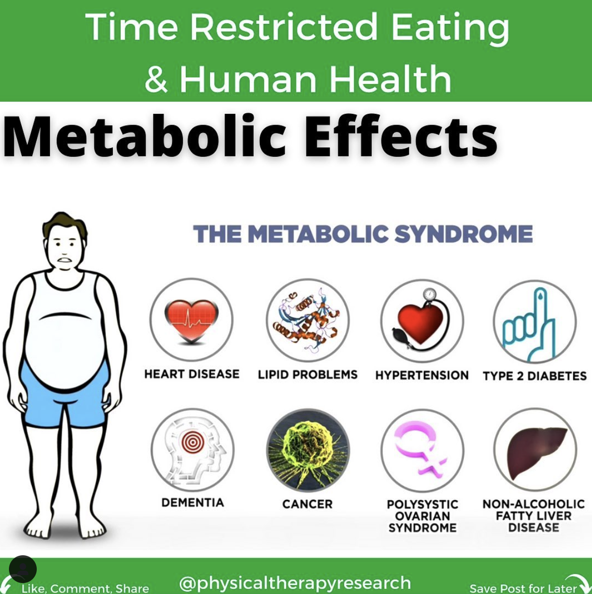 Time Restricted Eating on Human Health Part 4 - Metabolic Effects - themanualtherapist.com