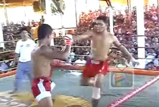 Vid: Muay Thai, Sukan Paling Ekstrem Sekali 