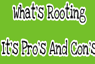 The Pro's And Con's Of Rooting An Android Device