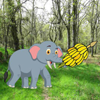 WOW Feed The Little Elephant