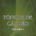 Tòpicos de Càlculo 3ra Ed. Vol I – Máximo Mitacc & Luis Toro