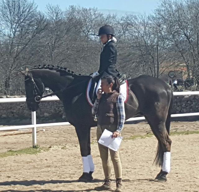 caballo preparado para salir a pista