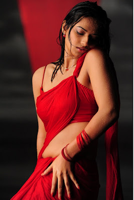 Isha Chawla Hot Wet in Red Saree Photos