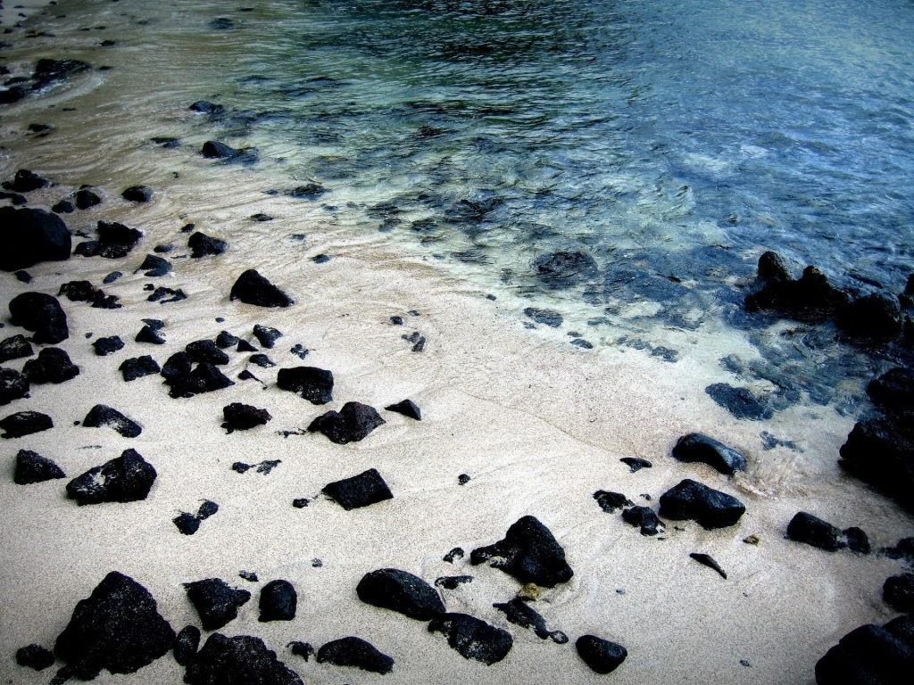 Beach Wallpaper Widescreen Black And White