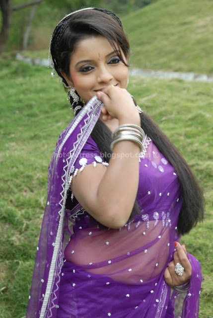 Padmini Hot Navel in Saree Stills