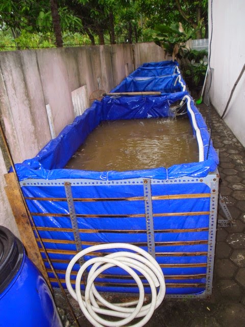 Kolam Ikan: Kolam Rangka Besi Siku II