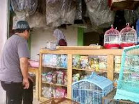 perlengkapan yang di butuhkan burung 