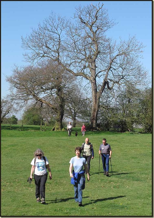 Tramping through the Cheshire countryside