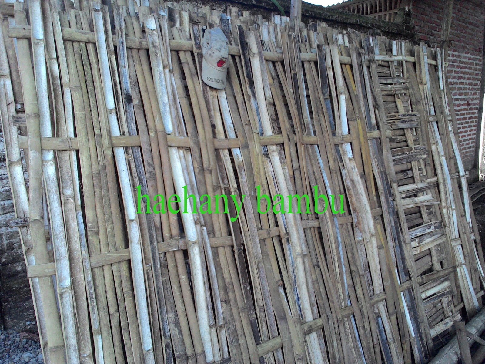 haehany jualan jual  bambu  surabaya 