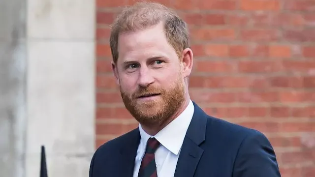 Prince Harry Slammed for 'Bizarre' Claims About Royal Plot and Security