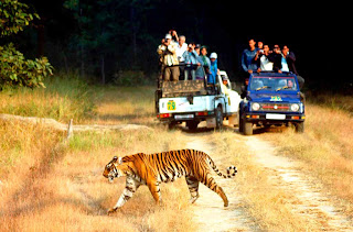 Rajasthan Wildlife Tour