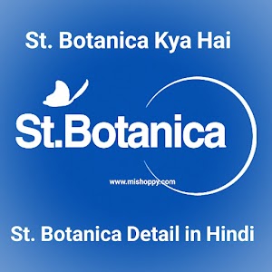 St Botanica Kya Hai - St Botanica Business Plan in Hindi