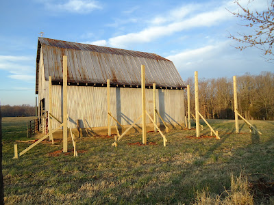 The Barn Project: Starting the big barn Lean To