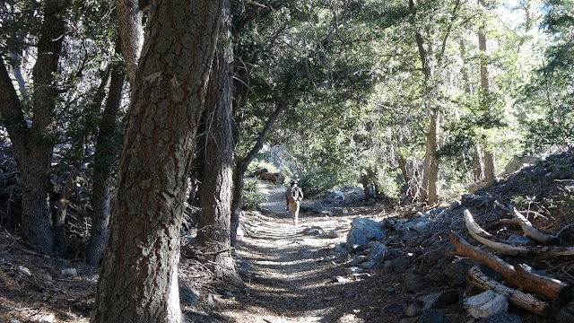 Windy Gap Trail