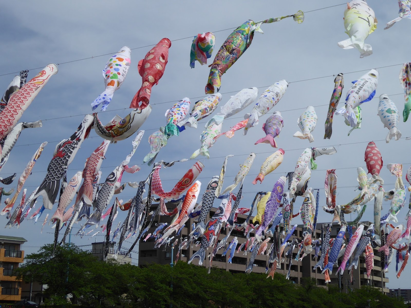 大阪府高槻市 芥川桜堤公園の上空を泳ぐ約1000匹のこいのぼり 関西のウォーキングスポット ブログ