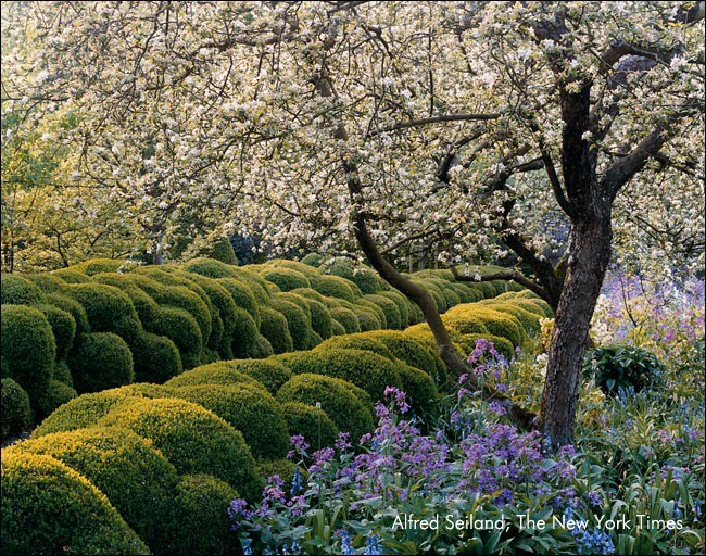 Jacques Wirtz Garden Schoten