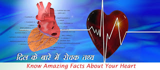 दिल के बारे में रोचक तथ्य, dil ke bare me rochak tathya, Heart Facts in Hindi, दिल के रोचक तथ्‍य, हृदय के तथ्य, Heart Facts