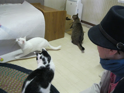  my immature adult woman as well as I rode the develop to Okinashima Station inwards Fukushima TokyoTouristMap: Nippon Cat Network