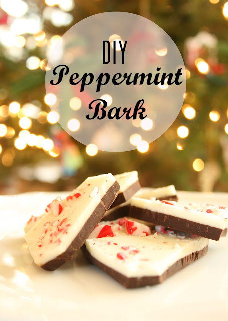 Vertical Shot of Peppermint Bark and Christmas Lights