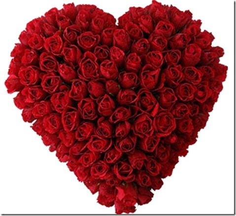coraçao.100rosas
