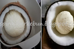 Batuk Kering, Migrain, Rabun Dekat Sampai Stroke Sembuh Dengan Menggunakan Kentos Kelapa! Begini Cara Mengolahnya 